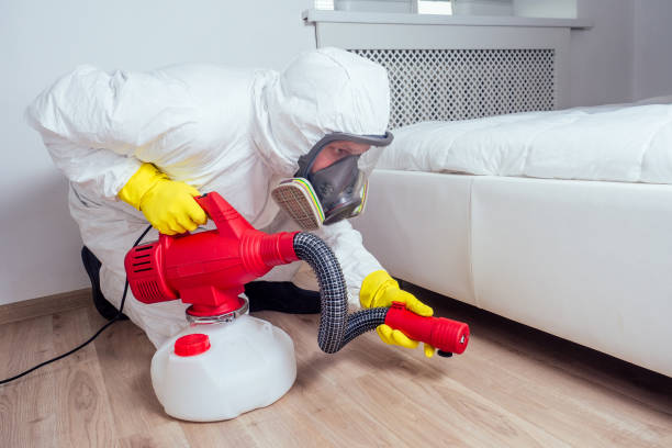 Best Fumigation Services  in Fullerton, PA